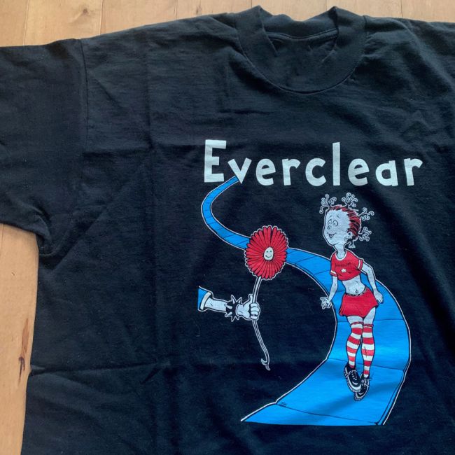 Everclear Merchandise: Discovering Unique Pieces for True Fans